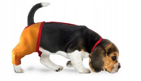 Opatrunek biodra i uda r.4(L) (F.35cm) WET3