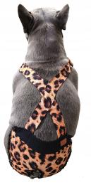 Majtki Na Szelkach Na Cieczkę Buldog Francuski Obwód Brzuszka 44-48 CM