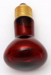 Żarówka światła nocnego do akwarium Terrarex Rubinowa 40W E27