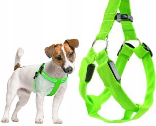 Mocne Szelki Dla Średniego Małego Psa Kota Świecące Led Do Smyczy