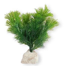 Roślina Do Akwarium Na Kamieniu Roślinki Sztuczne Wys. 15cm C1