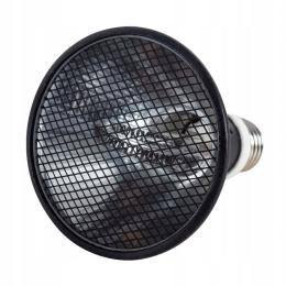 Promiennik Ciepła Żarówka Do Ogrzewania Terrarium 50W Wydajna
