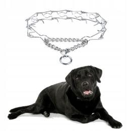 Chaba Kolczatka chromowana dla psa obwód 45cm