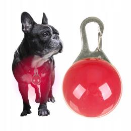 Świecąca Lampka Led Zawieszka Do Obroży Dla Psa