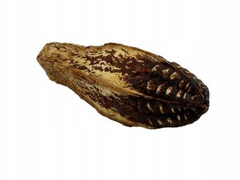 Mechogan owoc Dekoracja Wystrój Wyposażenie Do Terrarium Dla Pająka Gekona