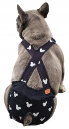 Majtki Na Szelkach Na Cieczkę Buldog Francuski Obwód Brzuszka 48-52 CM