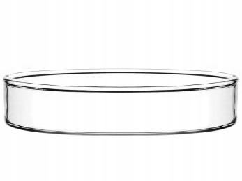 Aqg Karmidełko Szklane 6CM Dla Krewetek