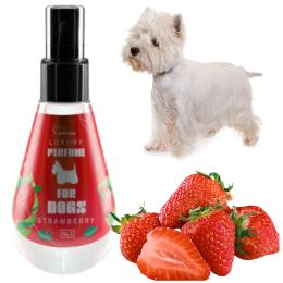 Perfumy dla psa truskawka 150 ml Over Zoo neutralizator zapachu w sprayu