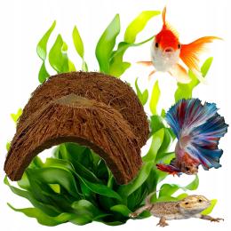 Domek Kokosowy Podwójna Łupina Orzecha Kokosowego Do Terrarium Naturalny