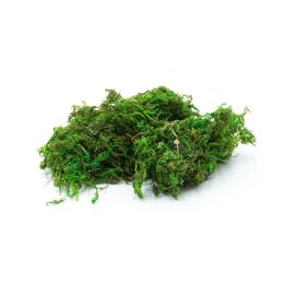 Mech suszony do terrarium naturalnie barwiony do Terrarium 50g