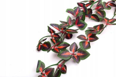 Roślina Wisząca 40CM Do Terrarium Dekoracja