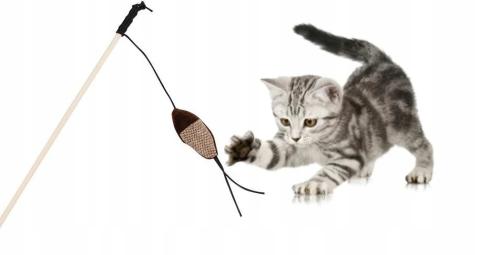 Zabawka Dla Kota Wędka Wabik Z Rybą 40CM