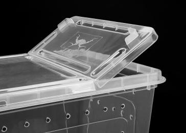 Braplast Pojemnik hodowlany Breeding Box 15 x 10 x 6.5 cm