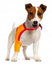 Opatrunek barku i łopatki prawy r.2(S) (g max 20cm)