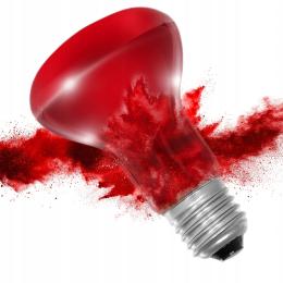 Żarówka Grzewcza Terrarystyczna Podczerwona Dla Wszystkich Gadów Punktowa