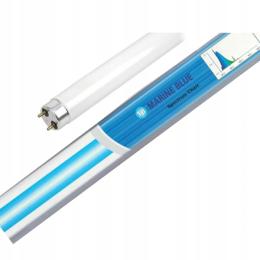 Świetlówka T8 Marine Blue Hailea 30W niebieska poświata 89,2cm