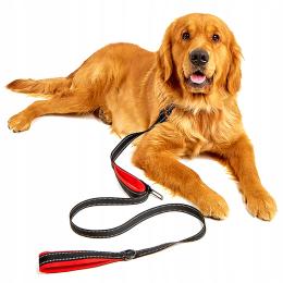 Smycz treningowa Odblaskowa dla Psa Mocna 5m