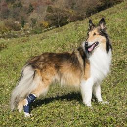 Orteza z szyną na kostkę psa Balto [rozmiar L]