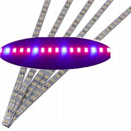 listwa taśma led grow 5630 ip20 0,5m 72 led 3 Pin
