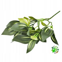 Am Amazoonia Trzykrotka ciemna zieleń, wystrój terrarium 32 cm