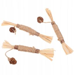 Patyczek Do Czyszczenia Zębów I Zabawy