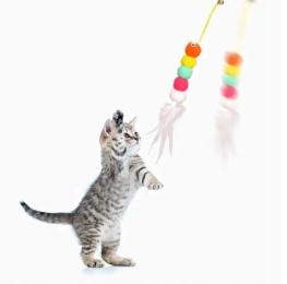 Zabawka dla kota na sznurku kolorowa zawieszka