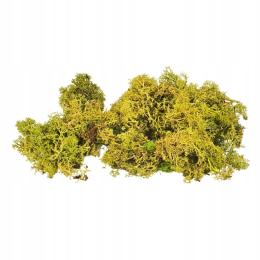 Mech chrobotek ciemny Fiński 100g skrawki terrarium