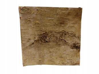 Tło Ścianka Kora 15x15 Do Terrarium Dekoracja Wyposażenie Dla Pająka