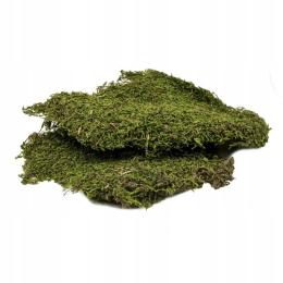 Naturalny mech – flat moss 50g