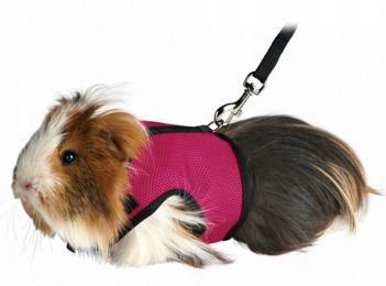 Trixie Szelki Smycz dla Świnki Morskiej 61512