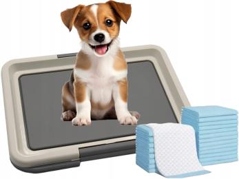 Kuweta Toaleta Dla Psa Szczeniaka Do Nauki Czystości Sikania Z Podkładami