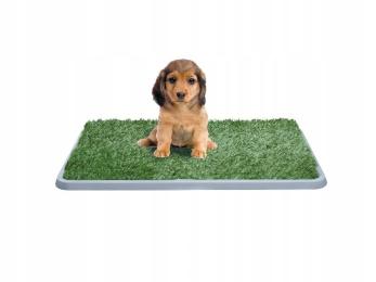 Wc Kuweta dla psów z trawą Potty Patch 68/44/4cm