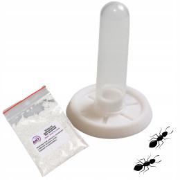 Akcesoria. Poidełko Słoneczko z pokarmem dla mrówek do formikarium