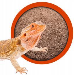Podłoże dla Agamy z Gliną Z Piaskiem do terrarium 10 l