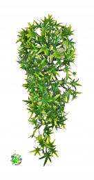 Zoo Med Small Cannabis roślina sztuczna wystrój terrarium 36 cm