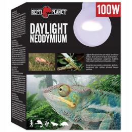 Żarówka Grzewcza Day Light Neodynium 100W Repti Pl