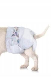 Pieluchy M pampersy dla kota kotów 4-8 kg 12szt