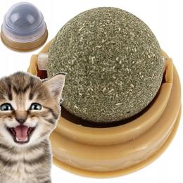 Kocimiętka Dla Kota Kocimięta W Kulce Pudełku Do Zabawy Zabawka Przysmak