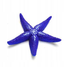 Dekoracja ozdoba akwarium Rozgwiazda sztuczna fluorescencyjna niebieska
