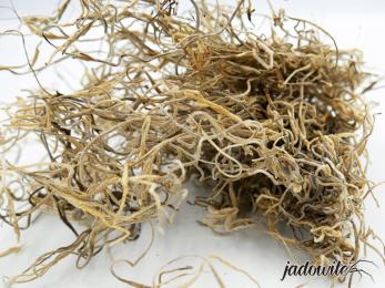 Tillandsia suszona mech hiszpański do terrarium, storczyków Suchy 50g