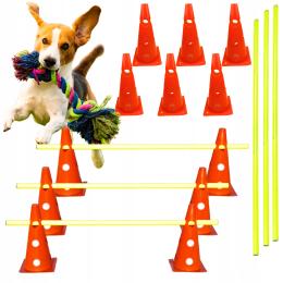 Tor Przeszkód Pachołki Trening Szkolenie Psa Dog Activity Agility 3x Skok