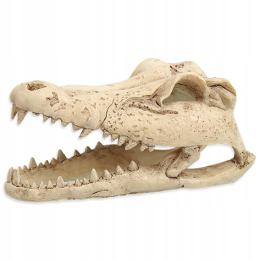 Czaszka Krokodyla Dekoracja Do Terarrium