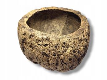 Skorupa Ourico gniazdo, kryjówka 8-10cm, naturalna ozdoba do terrarium