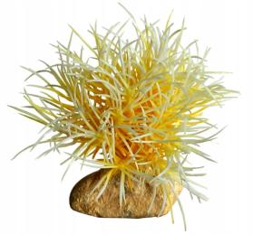 roślinka do akwarium Kulka St