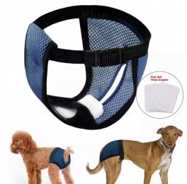 Majtki Na Cieczkę Dla Psa Suczki S