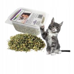 Suszona kocimiętka Pobudzająca dla kota Zachęta do Zabawy 50g