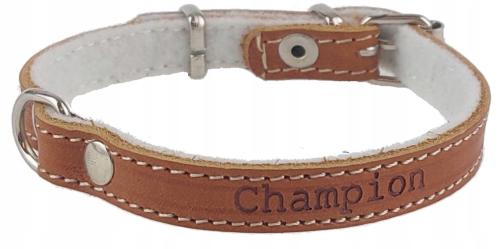 Polski producent Champion Obroża naturalna Skóra licowa 30cm/1cm Koniak