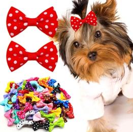 Kokardka dla psa groszki kropki spinka yorka york shih tzu maltańczyka 20 x