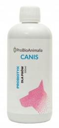 Probiotyk dla psów (Naturalny suplement diety)