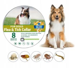 Obroża Na Pchły Kleszcze Insekty Dla Psa 8 Miesięcy Ochrony 65 CM